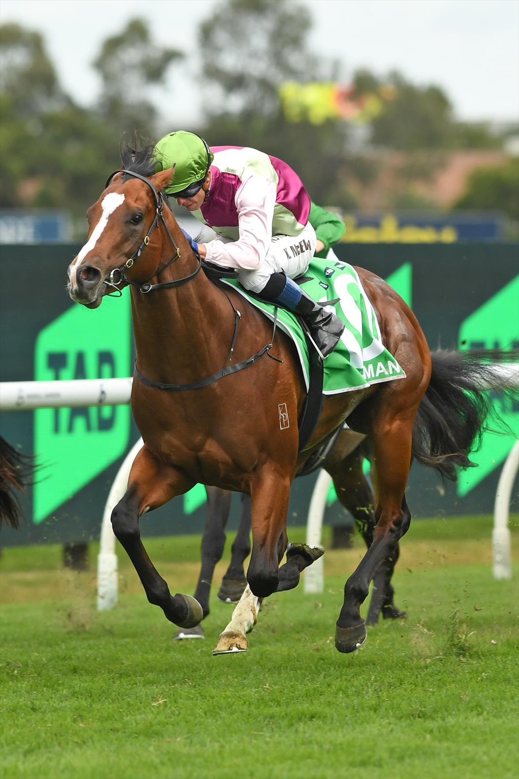 Coleman & Kerrin McEvoy, 2nd Golden Slipper Coleman & Kerrin McEvoy, 2nd Golden Slipper